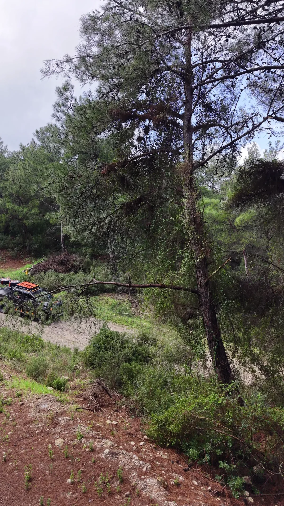 FAC Offroad saha karesi